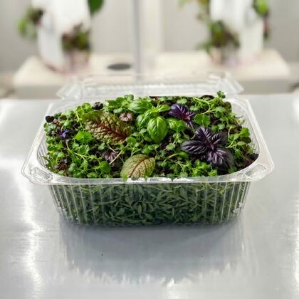 Микс микрозелени и бейби листов