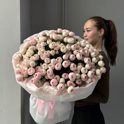 51 спрей менсфилд