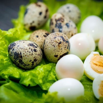 Перепелиное яйцо ( дополенине к плову)