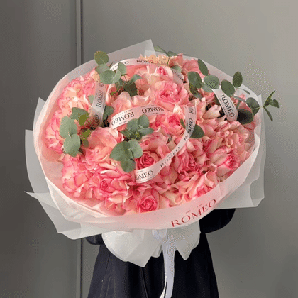 Пышные французские розы