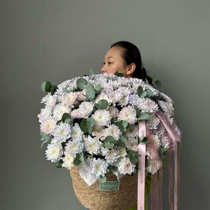 Хризантема в кашпо