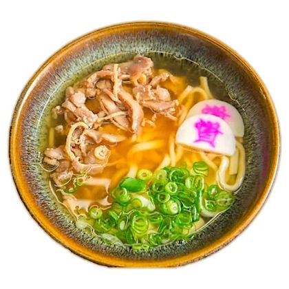 Kashiwa Udon
