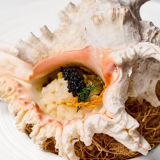 Scallop ceviche