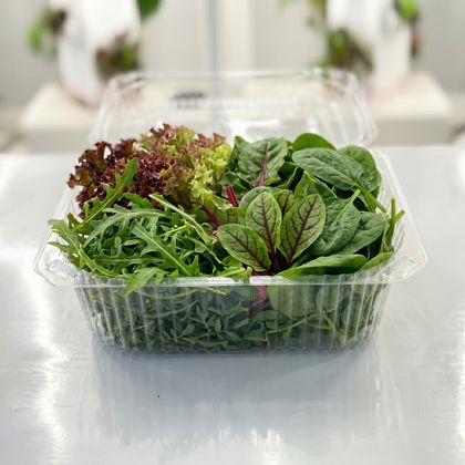 Салатный Микс от Chovbani (Выездная кухня)