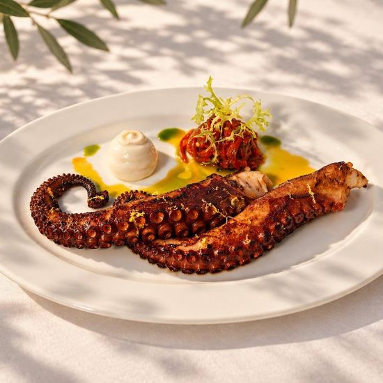 Octopus