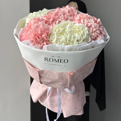 Гортензии в стильном оформлении