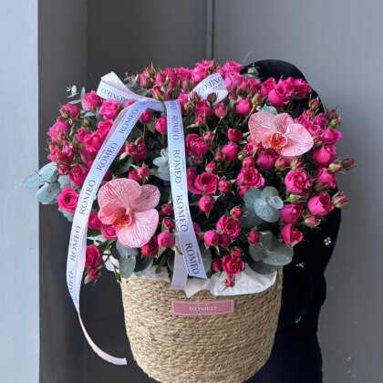 Раушан сыбыры