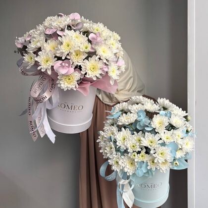 Хризантема в коробке