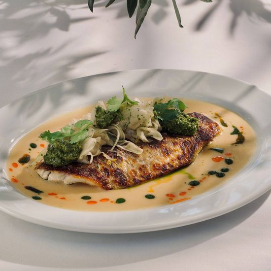 Barramundi