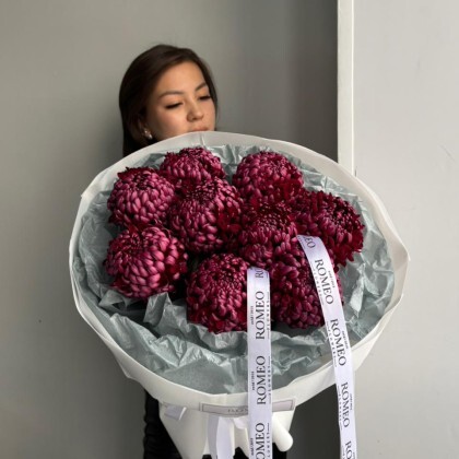 Bloom Story