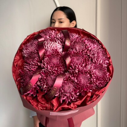 Belle Époque